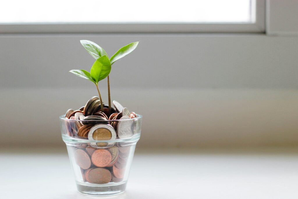 Mynt i ett glas där det växer en planta.