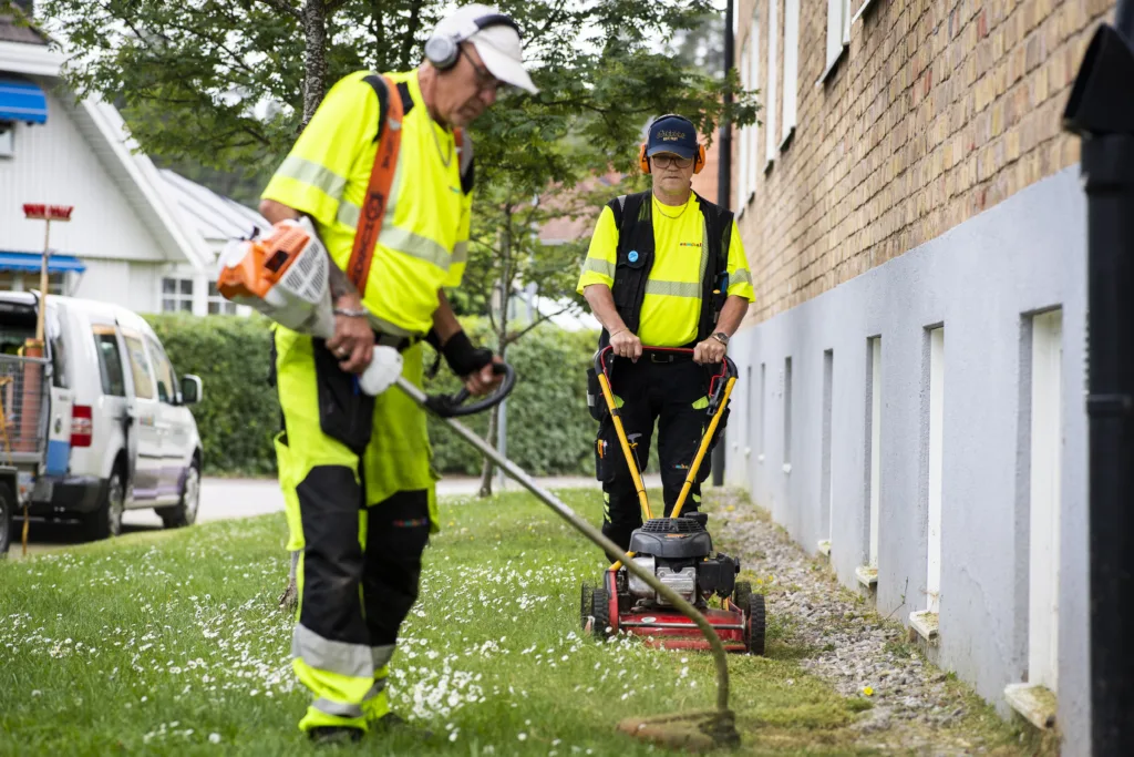 Två fastighetsskötare på en gräsmatta utanför ett hus. Den ena använder grästrimmer, den andra kör gräsklipparen.