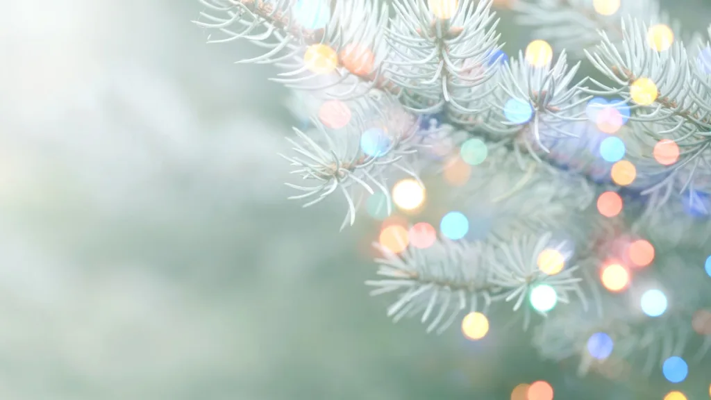 En grangren med kulörta lampor.